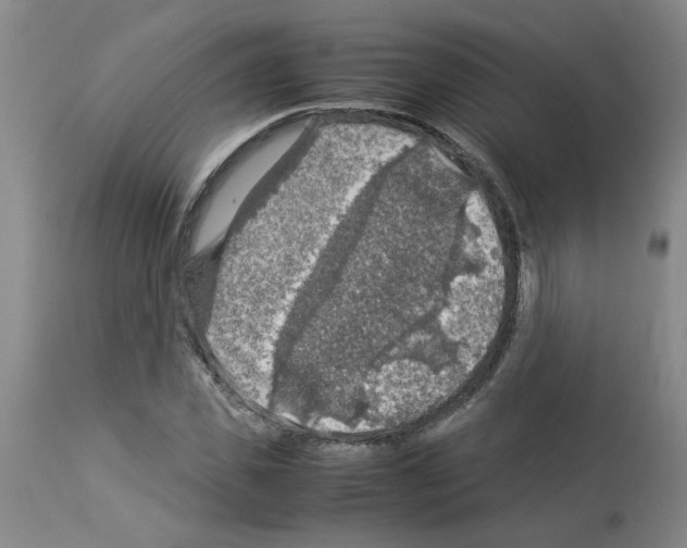 X0000112950925200910051215