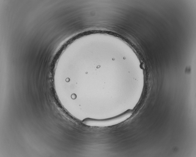 X0000112950926200910051215