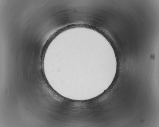 X0000112950927200910051215
