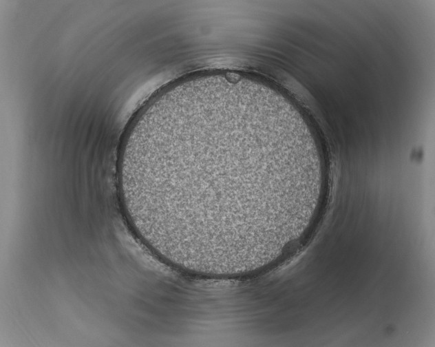 X0000112950930200910051215