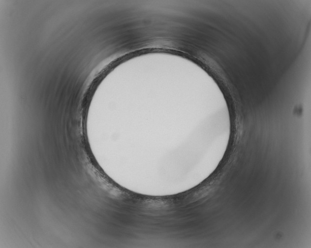 X0000112950931200910051215