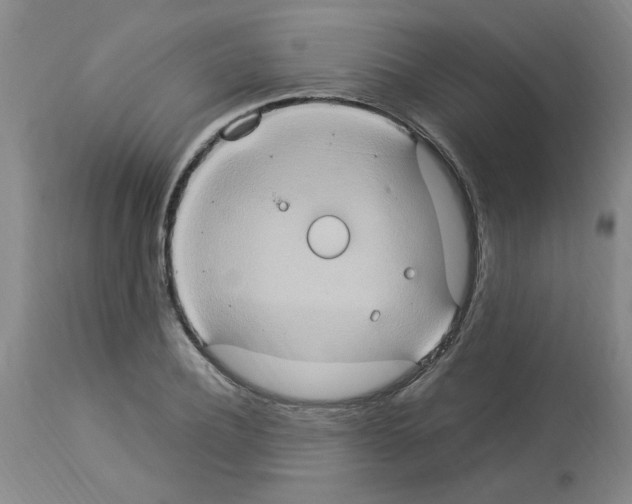 X0000112950932200910051215