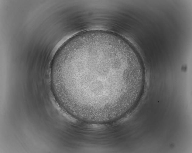 X0000112950933200910051215