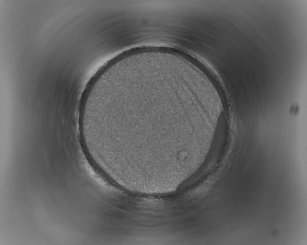X0000112950935200910051215