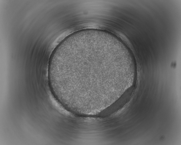 X0000112950938200910051215