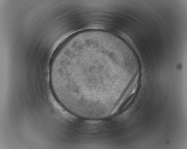 X0000112950939200910051215