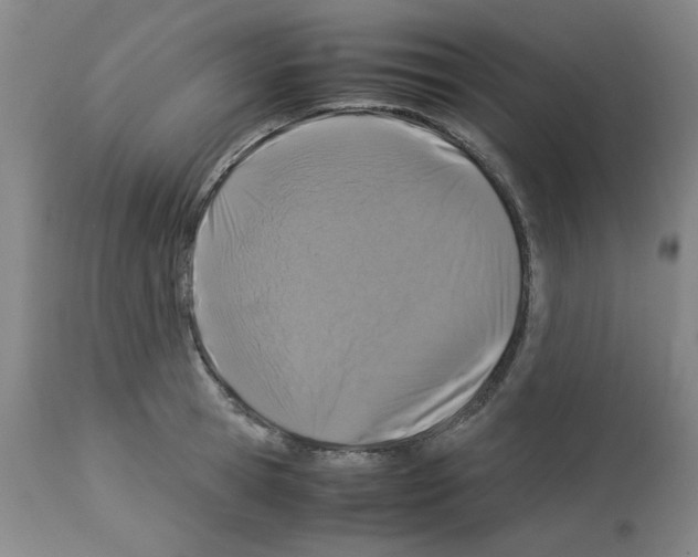 X0000112950945200910051215