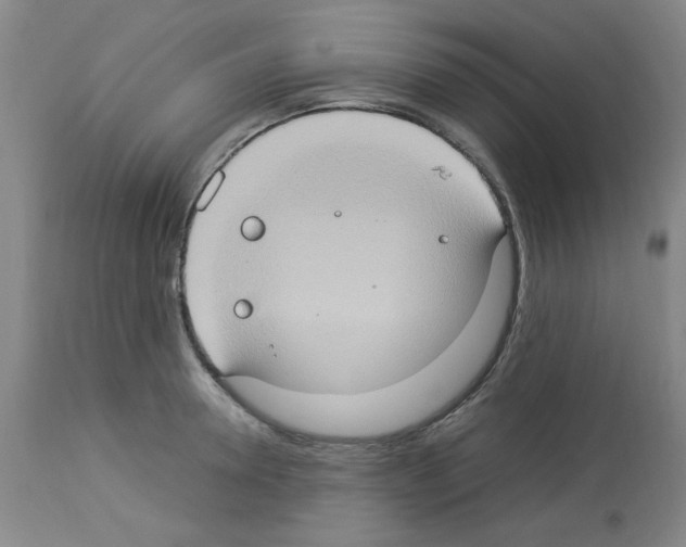 X0000112950946200910051215
