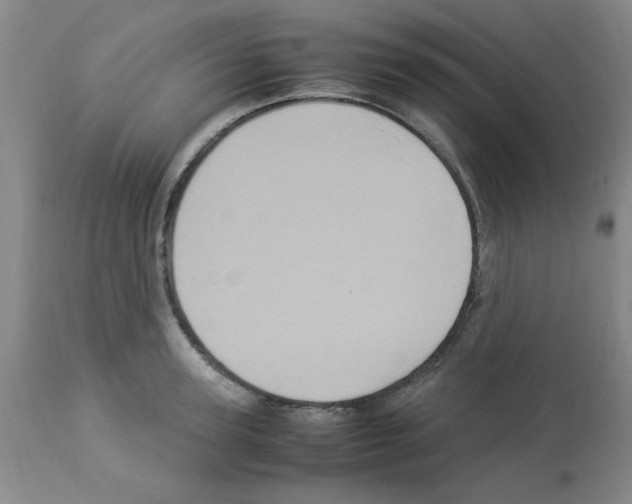 X0000112950947200910051215