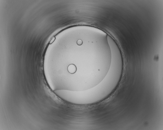 X0000112950948200910051215