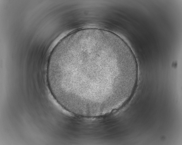X0000112950949200910051215