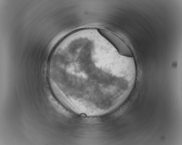 X0000112950952200910051215