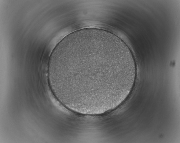 X0000112950954200910051215