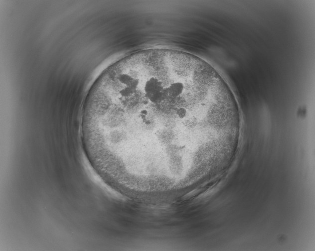 X0000112950957200910051215