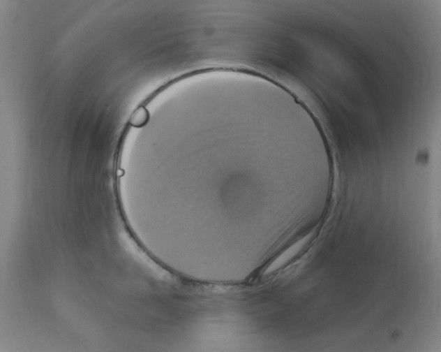 X0000112950958200910051215