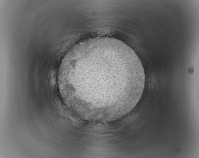 X0000112950962200910051215