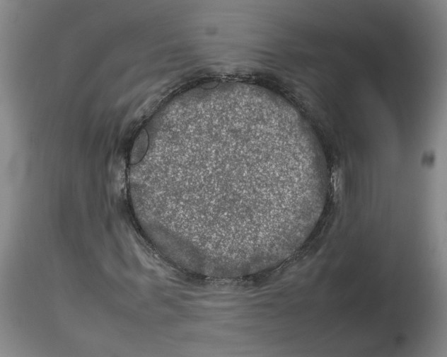 X0000112950963200910051215