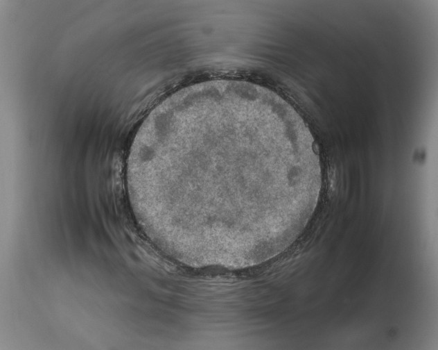 X0000112950964200910051215