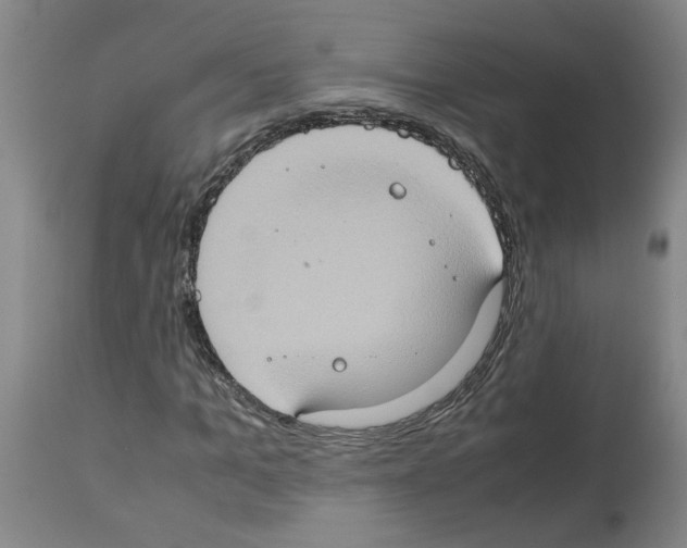 X0000112950965200910051215