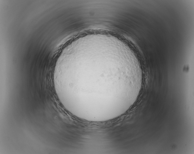 X0000112950968200910051215