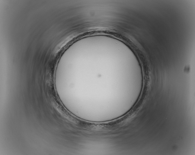 X0000112950969200910051215