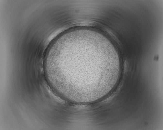 X0000112950970200910051215