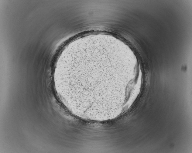 X0000112950971200910051215