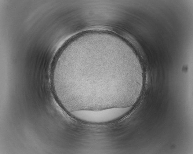 X0000112950972200910051215
