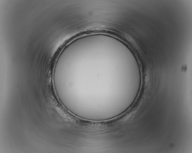 X0000112950973200910051215