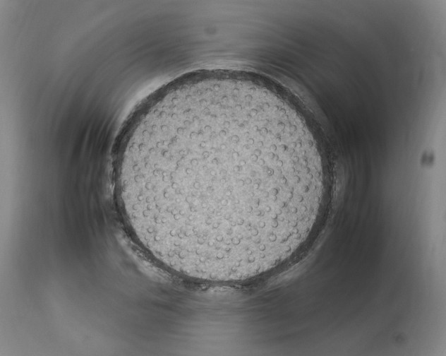 X0000112950974200910051215