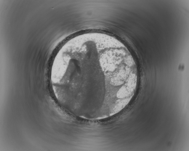X0000112950975200910051215