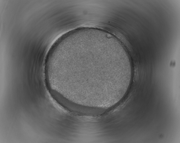 X0000112950976200910051215