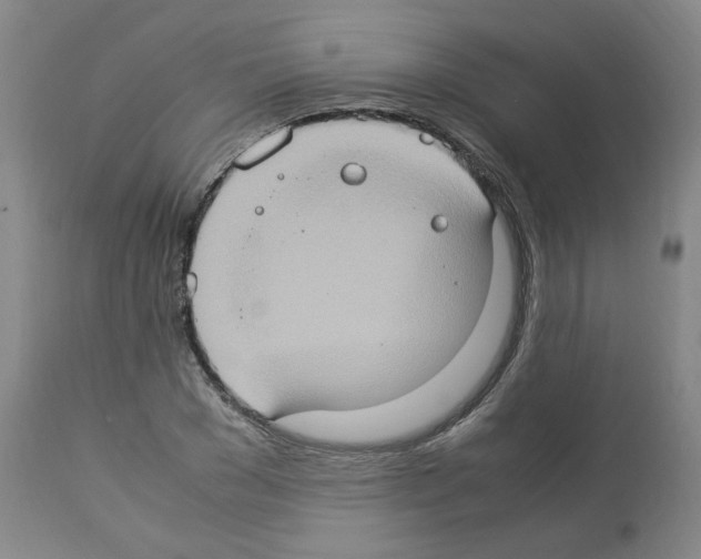X0000112950977200910051215