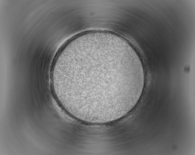 X0000112950980200910051215