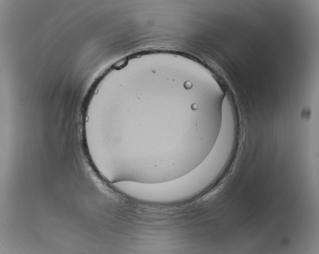 X0000112950981200910051215