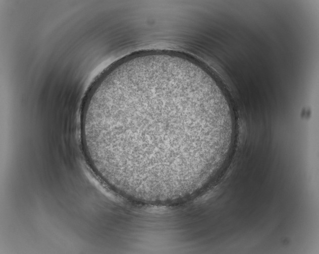 X0000112950982200910051215