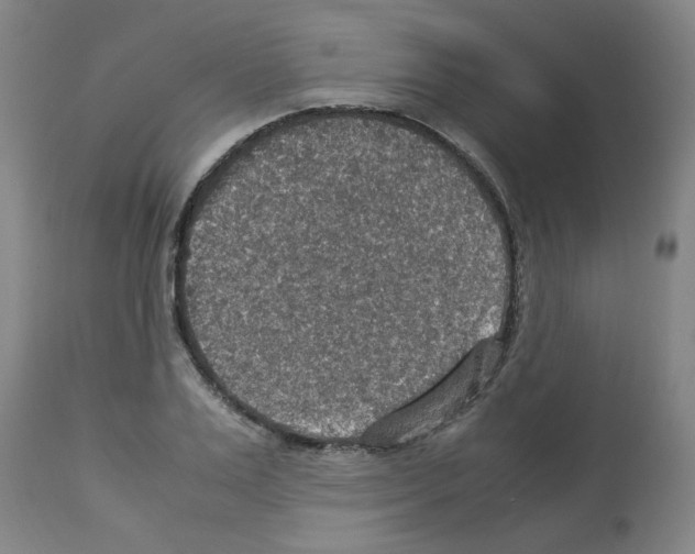X0000112950983200910051214