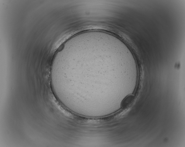 X0000112950985200910051214