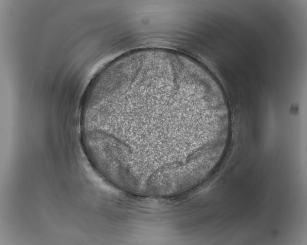 X0000112950987200910051214