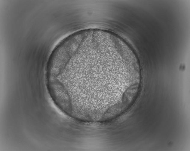 X0000112950991200910051214