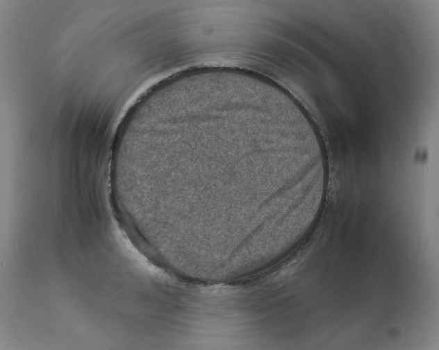 X0000112950992200910051214