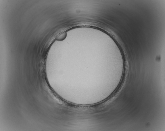 X0000112950993200910051214