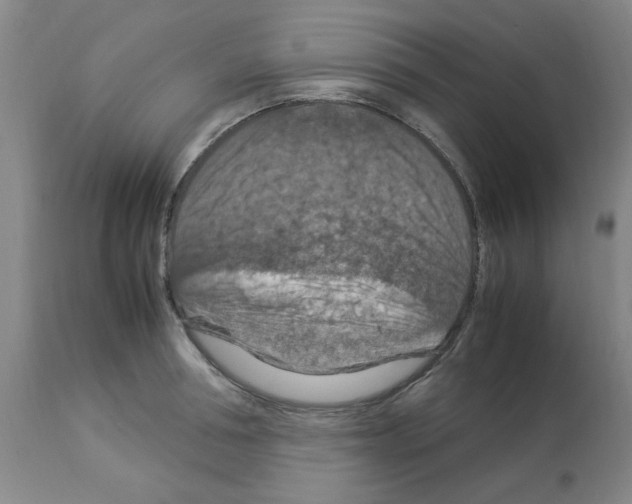 X0000112950994200910051214