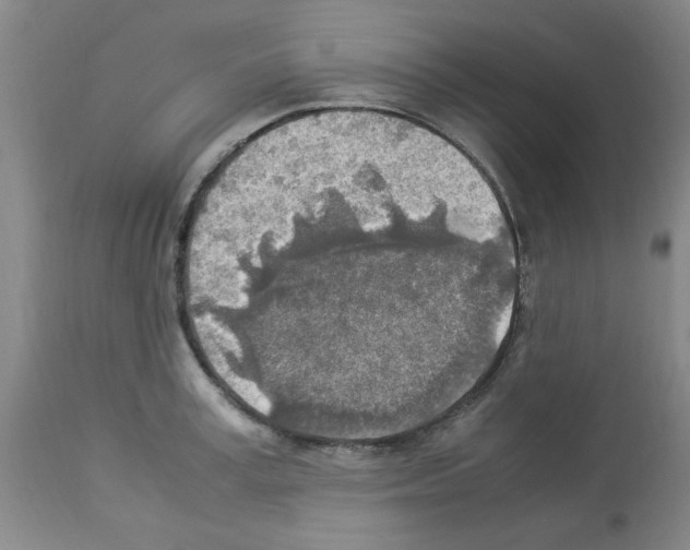 X0000112950995200910051214