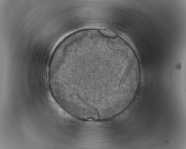 X0000112950996200910051214