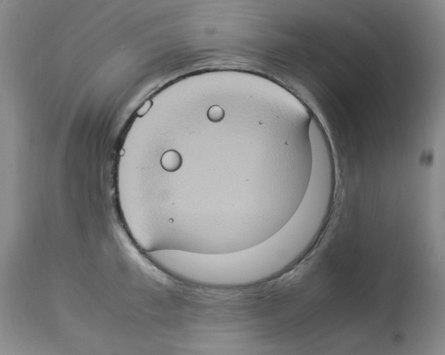 X0000112950997200910051214