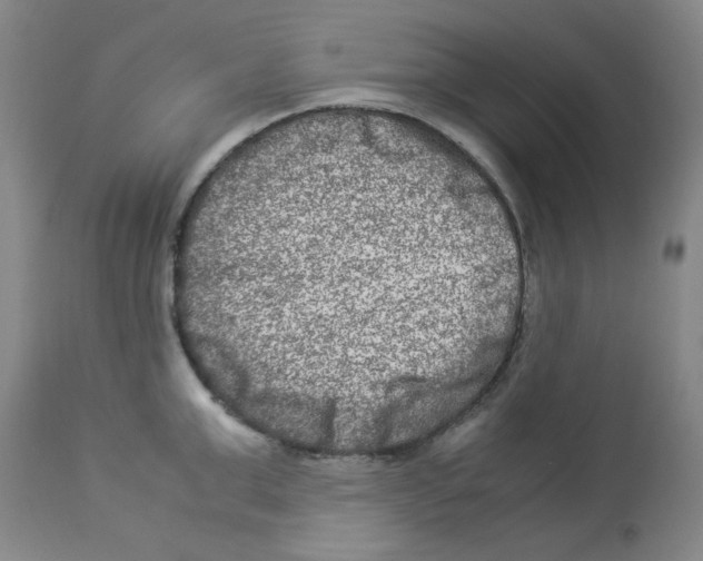 X0000112950999200910051214