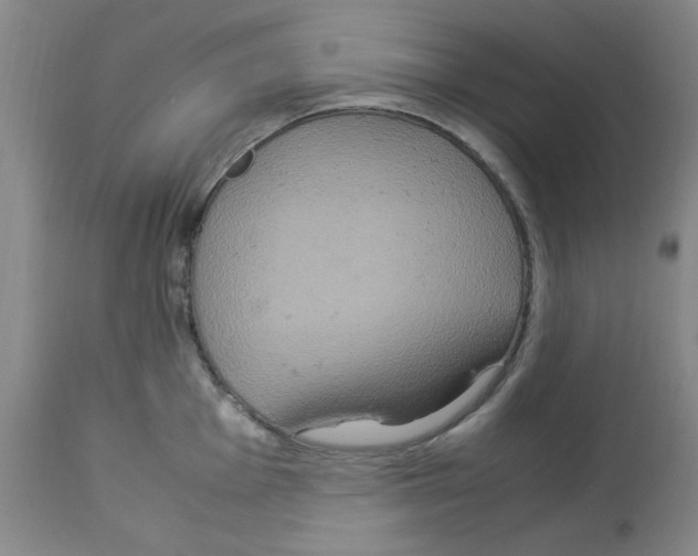 X0000112951001200910051214
