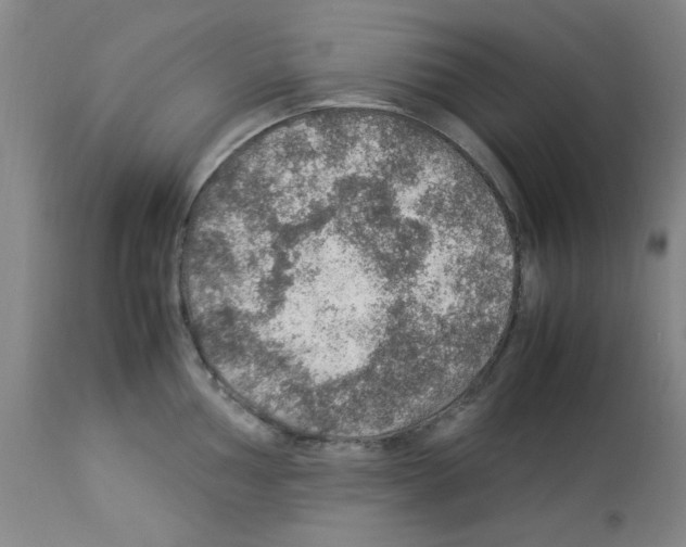 X0000112951002200910051214