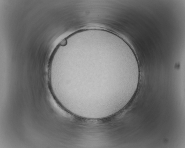 X0000112951003200910051214